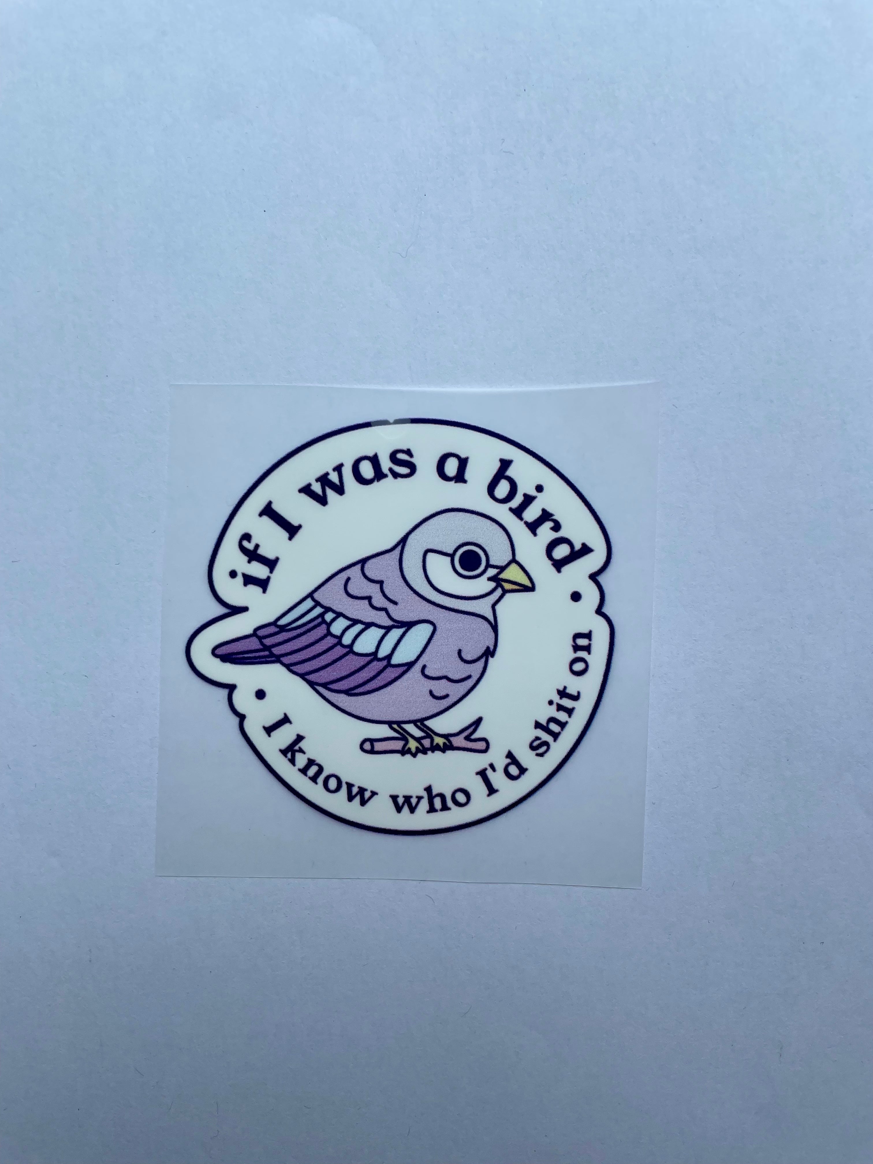 Vuorella If I was a bird-silityskuva