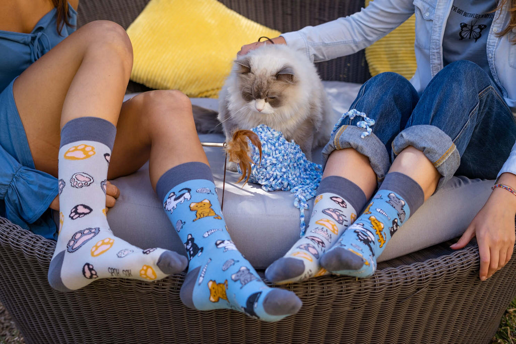 Spox Sox kissasukat