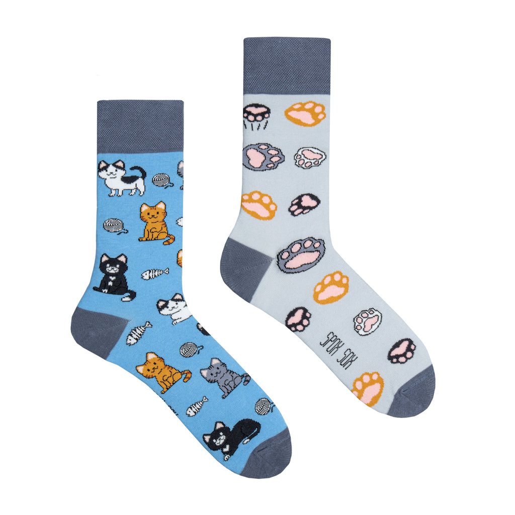 Spox Sox kissasukat